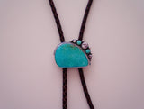 Turquoise and Wild Horse Bolo