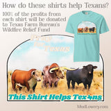 Pray 4 Texas Comfort Colors T-Shirt
