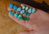 Kingman TurquoiseStuds