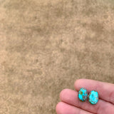 Royston Turquoise Studs