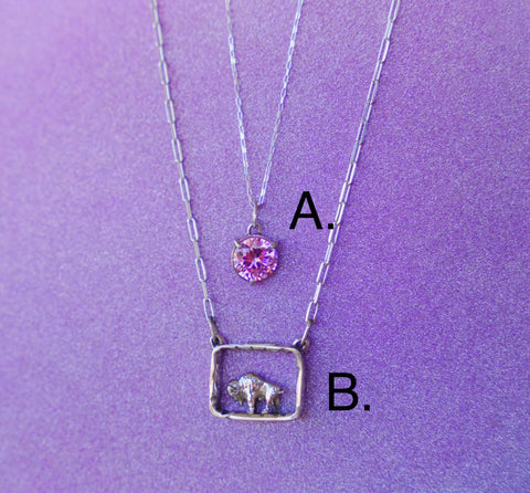 Pink Gem and Buffalo Box Necklace (2 Options)